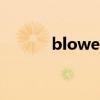 blower（关于blower的简介）
