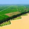 黄河流域生态保护和高质量发展上升