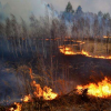 丛林大火会影响房地产市场吗
